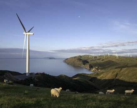 Windfarm on land with sea in background