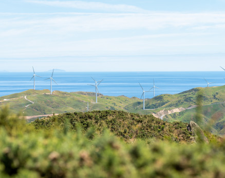 View of windfarm on green hills with sea in the background